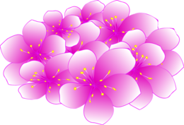 nature & Sakura free transparent png image.