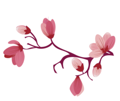 nature & Sakura free transparent png image.