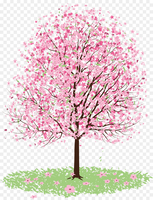 nature & Sakura free transparent png image.