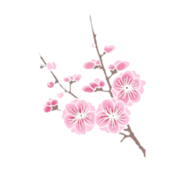 nature & sakura free transparent png image.