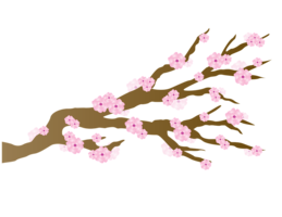 nature & sakura free transparent png image.