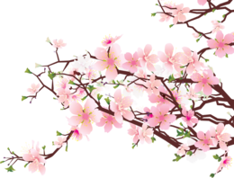 nature & Sakura free transparent png image.