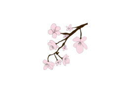 nature & Sakura free transparent png image.