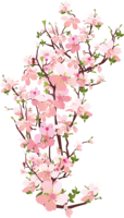 nature & sakura free transparent png image.