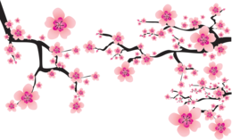 nature & Sakura free transparent png image.