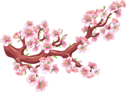 nature & Sakura free transparent png image.