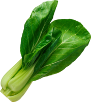 vegetables&Salad png image.