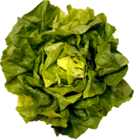 vegetables & Salad free transparent png image.