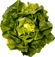 vegetables & salad free transparent png image.