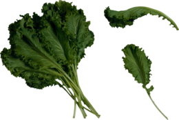 vegetables & Salad free transparent png image.