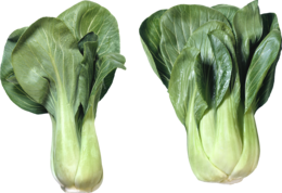 vegetables & salad free transparent png image.