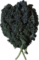 vegetables & Salad free transparent png image.