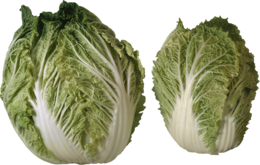 vegetables & Salad free transparent png image.