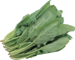 vegetables & salad free transparent png image.