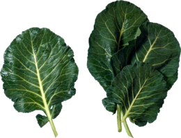 vegetables & Salad free transparent png image.