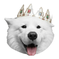 animals & samoyed dog free transparent png image.