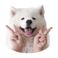 animals & samoyed dog free transparent png image.