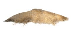 nature & sand free transparent png image.