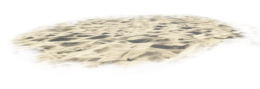 nature & Sand free transparent png image.