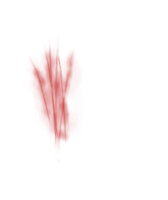 people & scars free transparent png image.