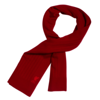 clothing & scarf free transparent png image.