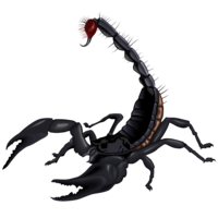 insects & Scorpions free transparent png image.