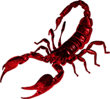 insects & scorpions free transparent png image.