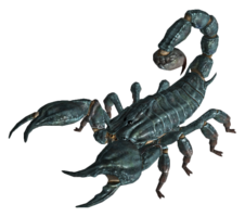 insects & Scorpions free transparent png image.