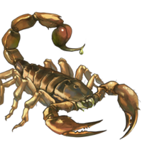 insects & Scorpions free transparent png image.