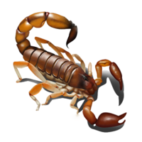 insects & scorpions free transparent png image.