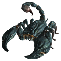 insects & Scorpions free transparent png image.