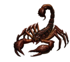 insects & scorpions free transparent png image.