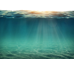 nature & sea free transparent png image.