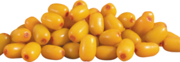 nature & Sea buckthorn free transparent png image.