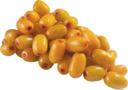 nature & Sea buckthorn free transparent png image.