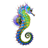 animals & Seahorse free transparent png image.