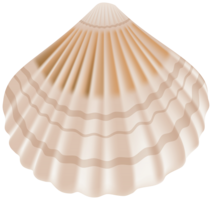 animals & Seashell free transparent png image.