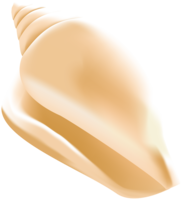 animals & Seashell free transparent png image.