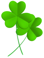 symbols & Shamrock free transparent png image.