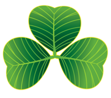 symbols & Shamrock free transparent png image.