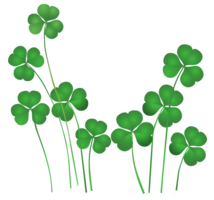 symbols & shamrock free transparent png image.