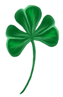 symbols & Shamrock free transparent png image.