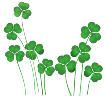 symbols & shamrock free transparent png image.