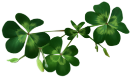 symbols & shamrock free transparent png image.