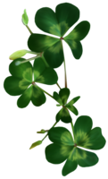 symbols & shamrock free transparent png image.