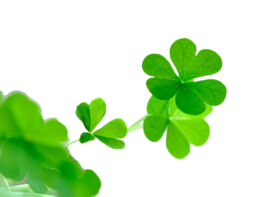 symbols & Shamrock free transparent png image.