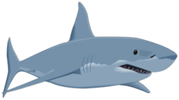 animals & Sharks free transparent png image.