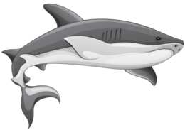 animals & sharks free transparent png image.