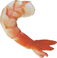 animals & Shrimps free transparent png image.