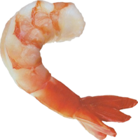 animals & shrimps free transparent png image.